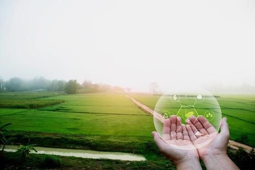 Farm Income - 1099PATR and Agricultural Program Payments